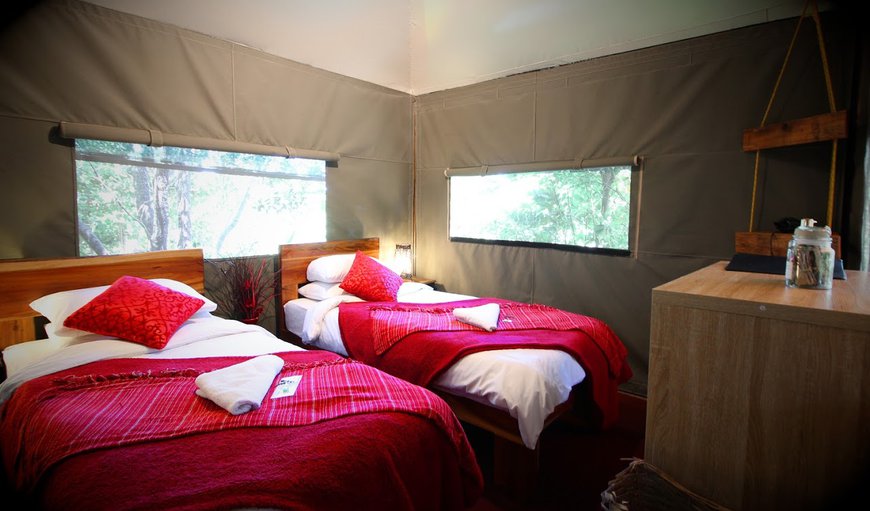 Bitou Room: Luxury safari tents