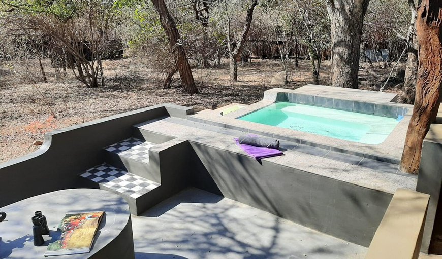 Swimming pool in Marloth Park, Mpumalanga, South Africa