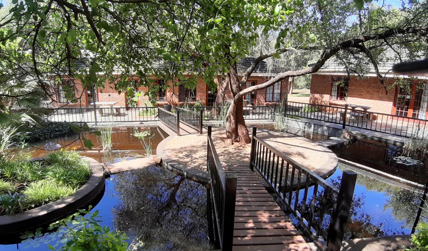 Welcome to Tapologo Lodge in Zeerust, North West Province, South Africa