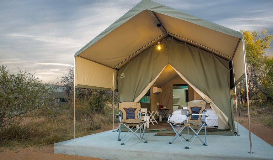 Luxury Tent: Tent 1