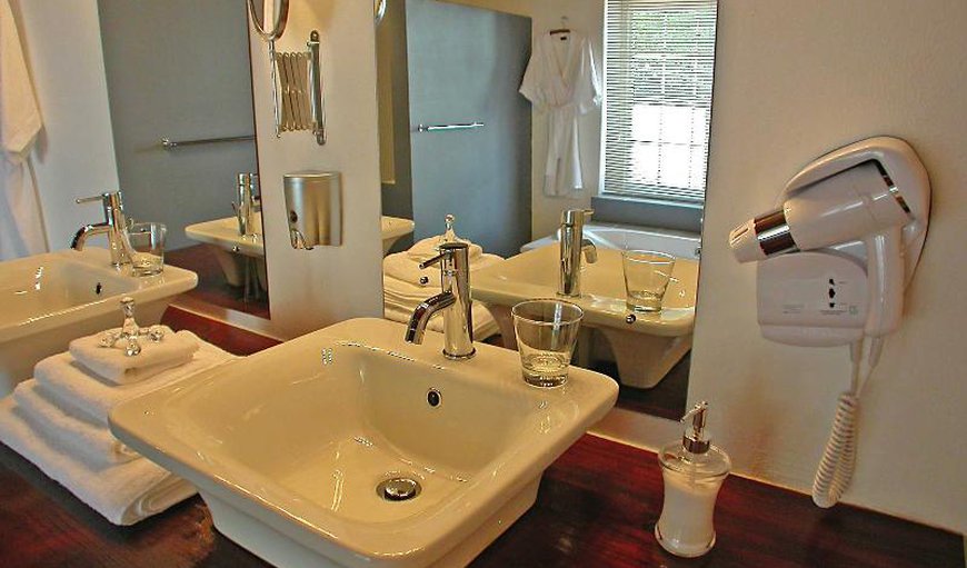 Deluxe Suites king or twin: Bathroom