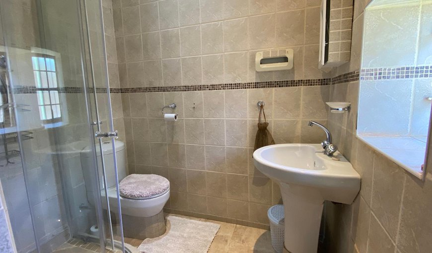 Comfort Double Room: Shower
