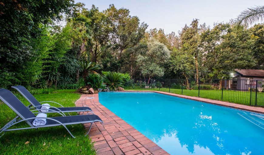 Swimming pool in Hurlingham, Johannesburg (Joburg), Gauteng, South Africa
