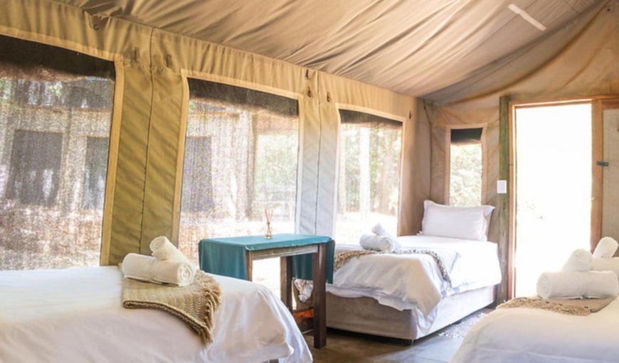 Cape Vulture Safari Tents: Photo of the whole room