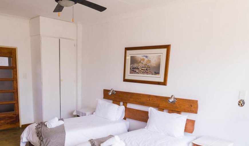 Wilde Hond Room: Bed