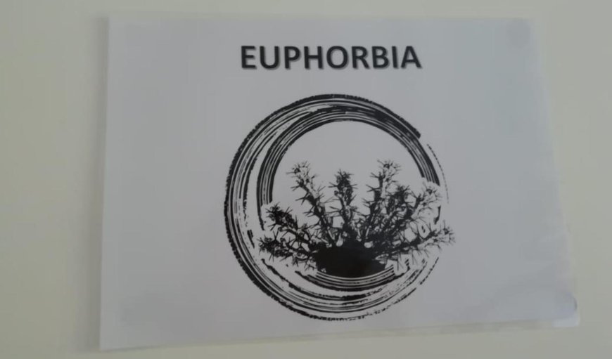 Euphorbia Room: Decorative detail