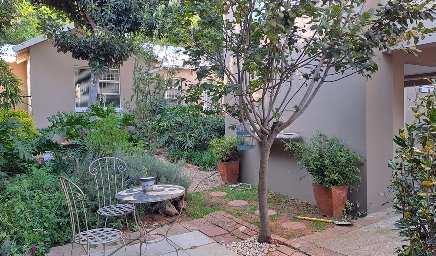 Garden view in Linden, Johannesburg (Joburg), Gauteng, South Africa
