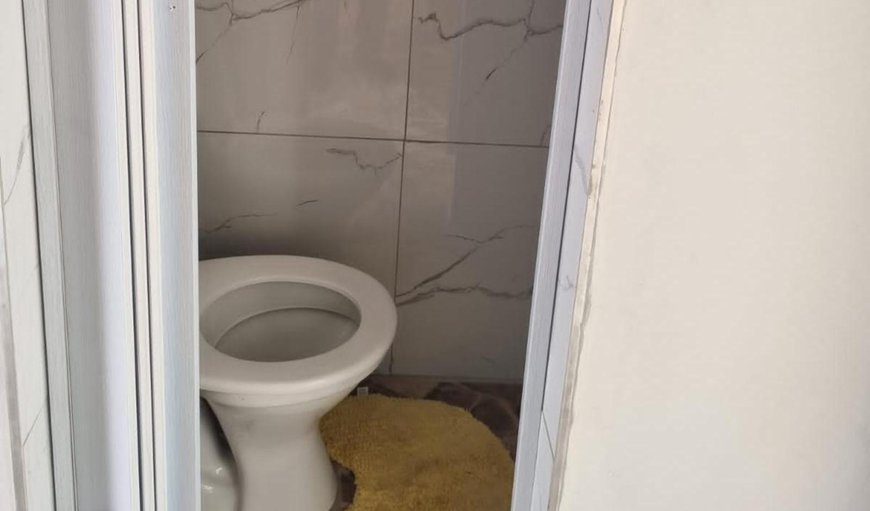Standard Double Room: Toilet