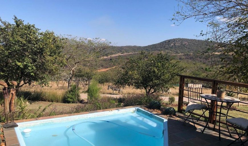 Swimming pool in White River, Mpumalanga, South Africa