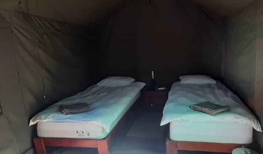 Tented Accommodation: Bed