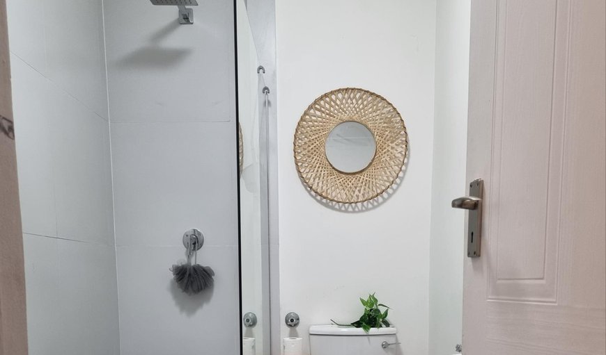 One Bedroom Deluxe Apartment: Shower