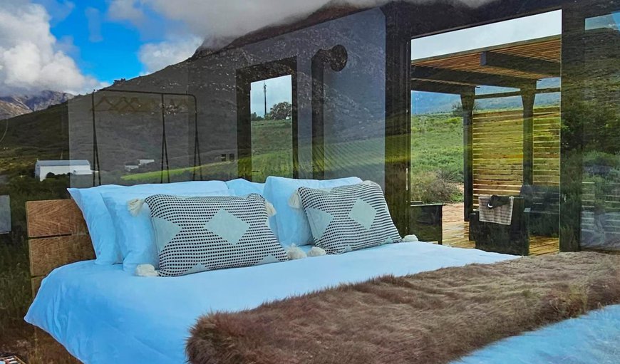 One-Bedroom Luxury Pods: Bed