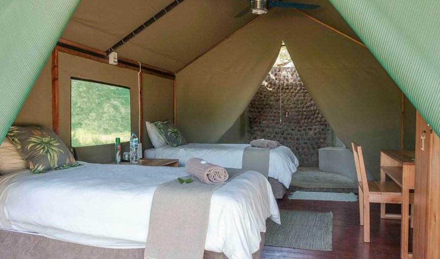 Nyala Tented Bush Camp: Bed