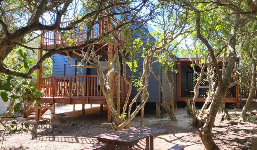 Property / Building in Van Dyks Bay, Western Cape, South Africa