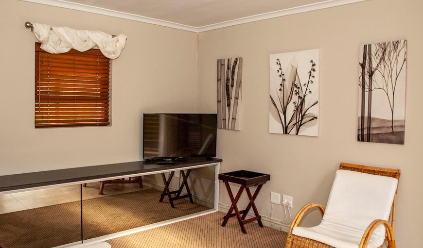 Standard Apartment: TV and multimedia