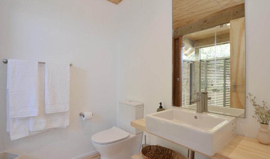 Fynbos Cabin: Bathroom