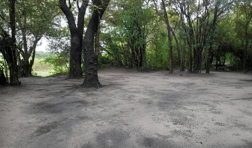 Campsite 1: Bed