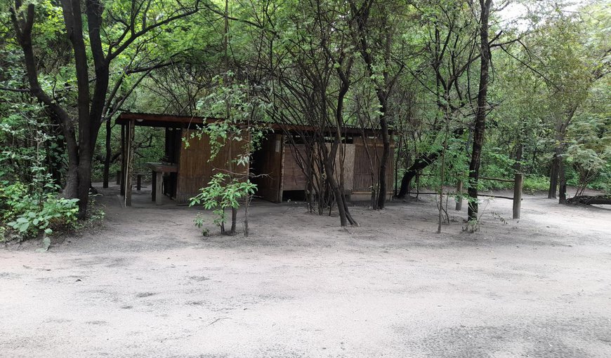 Campsite 4: Bathroom