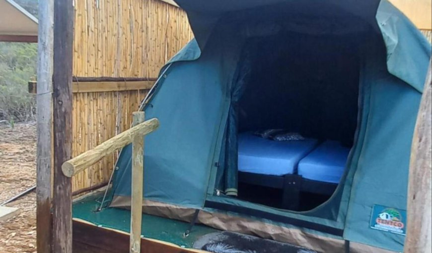 Cowboys Hill Karoo Campsite: Bed