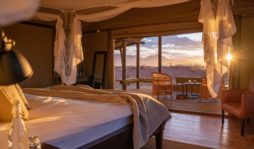 Tented Room: Photo of the whole room