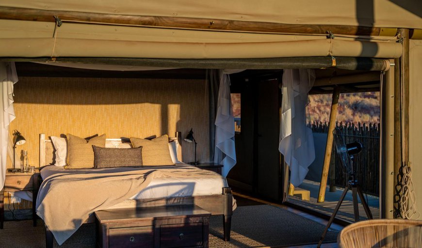Tented Room: Bed