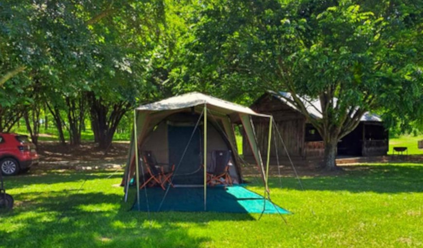 Riverside Campsites: Bed