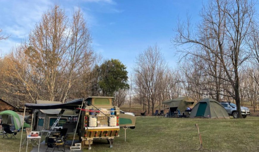 Riverside Campsites: Seating area