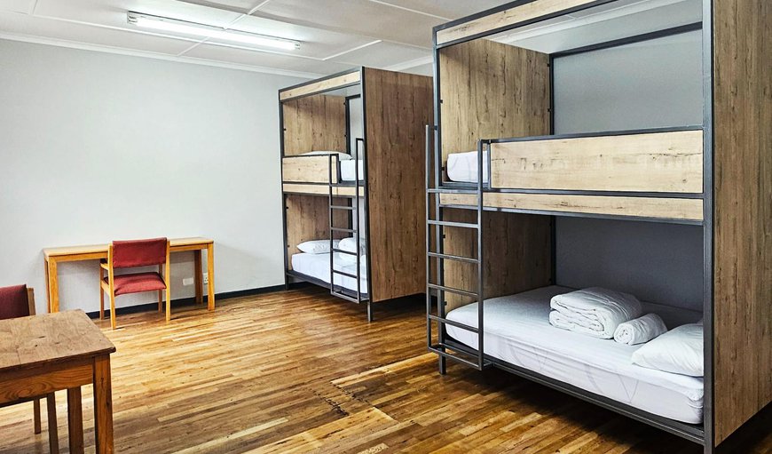 Bunker-type Double Bed in Dorm E: Photo of the whole room