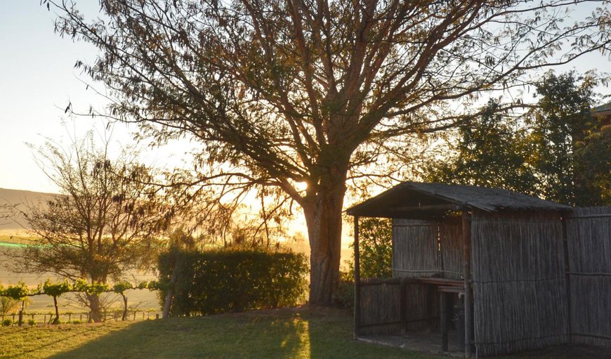 Private Campsite 1: View (from property/room)