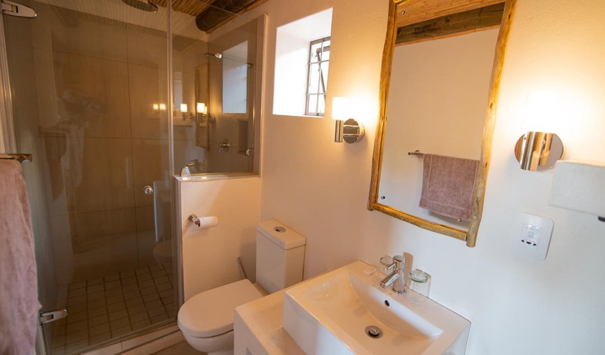 Luxury Double Room: Shower