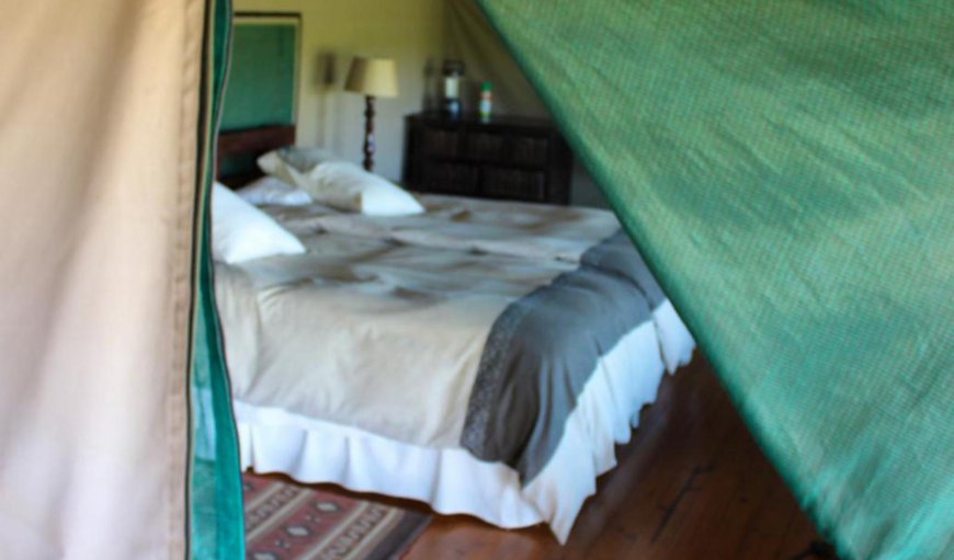Tented Chalet: Bed