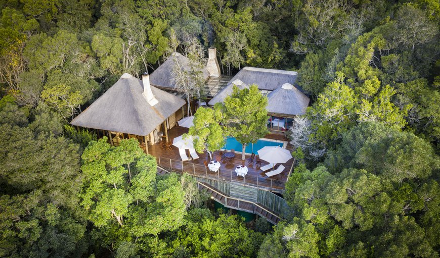 Welcome to Trogon House and Forest Spa! in The Crags, Plettenberg Bay, Western Cape, South Africa