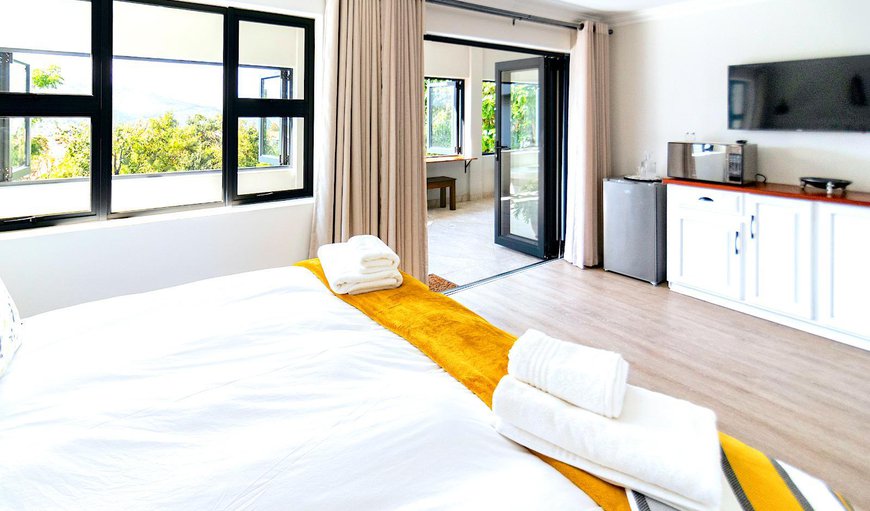 Luxury Studio Apartment: TV and multimedia