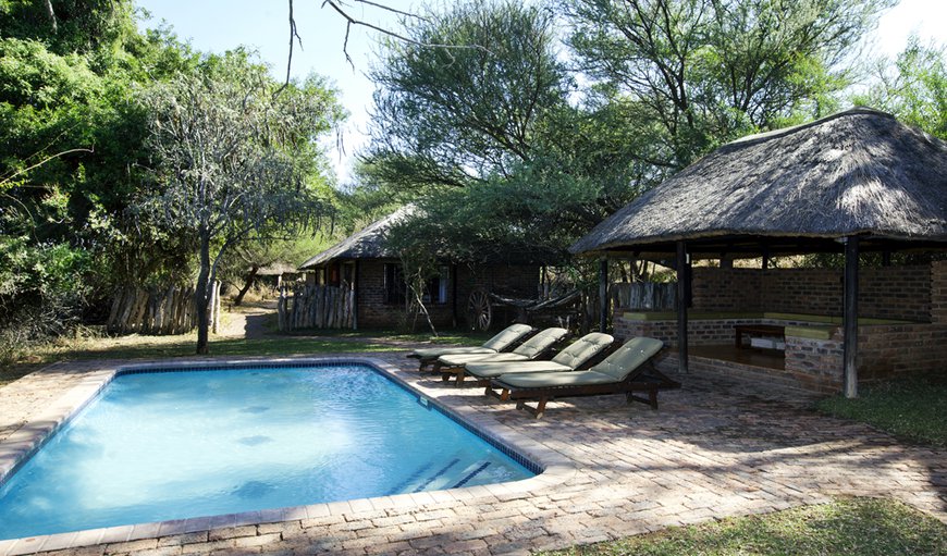 Welcome to Limpopo River Lodge in Tuli Block , Central District , Botswana