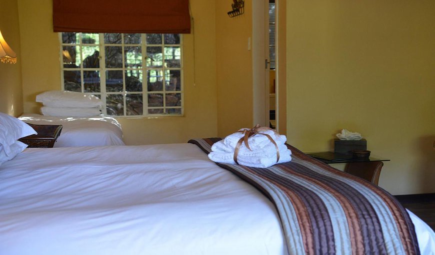 Family Room 8: Bed