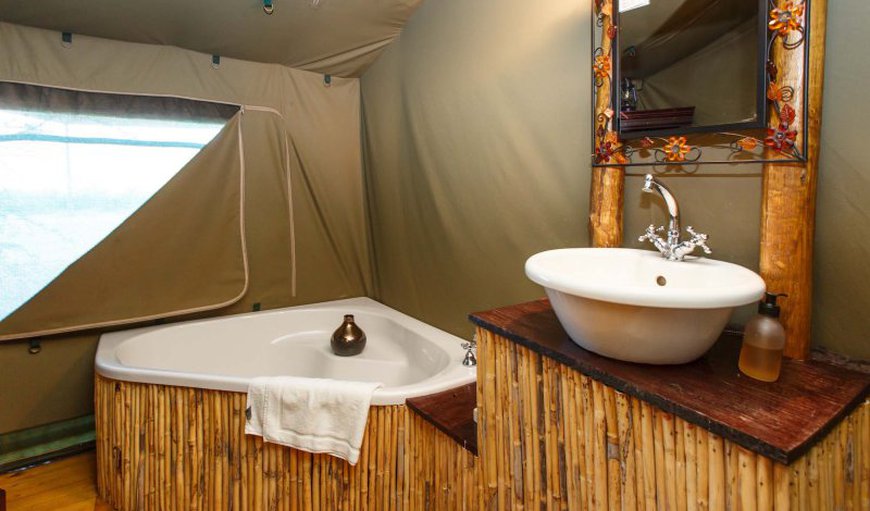 Chalet 10 - Executive Tent - Protea: Luxury Tents