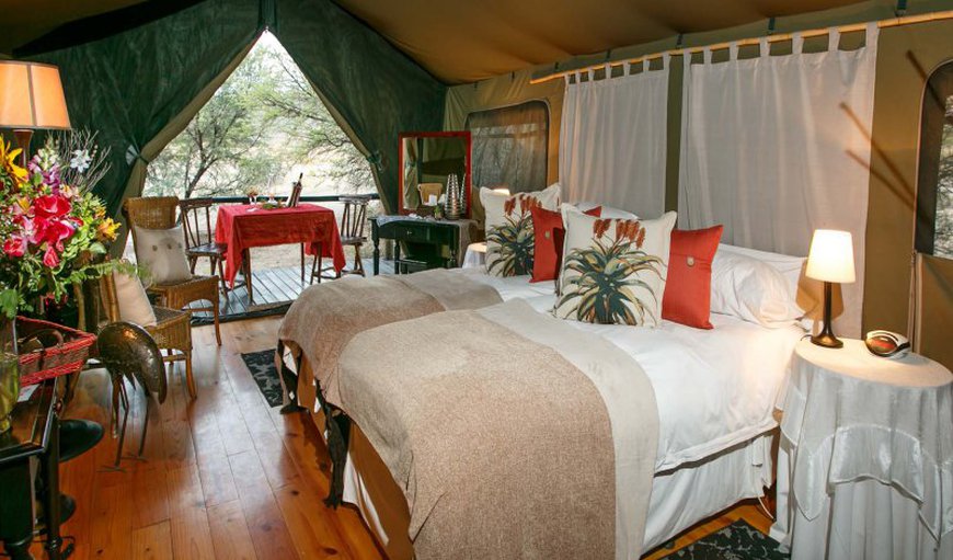 Standard Double or Twin: Luxury Tents