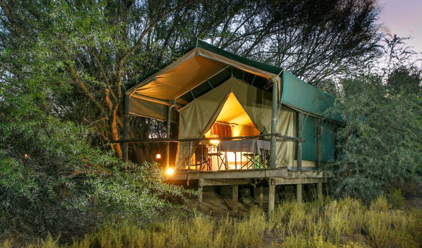 Chalet 9 - Executive Tent - Spekboom: Luxury Tents