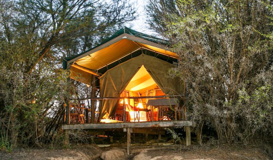 Chalet 9 - Executive Tent - Spekboom: Luxury Tents