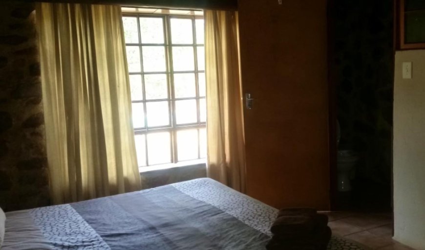 Economy Cottage - 21 Sleeper: Photo of the whole room