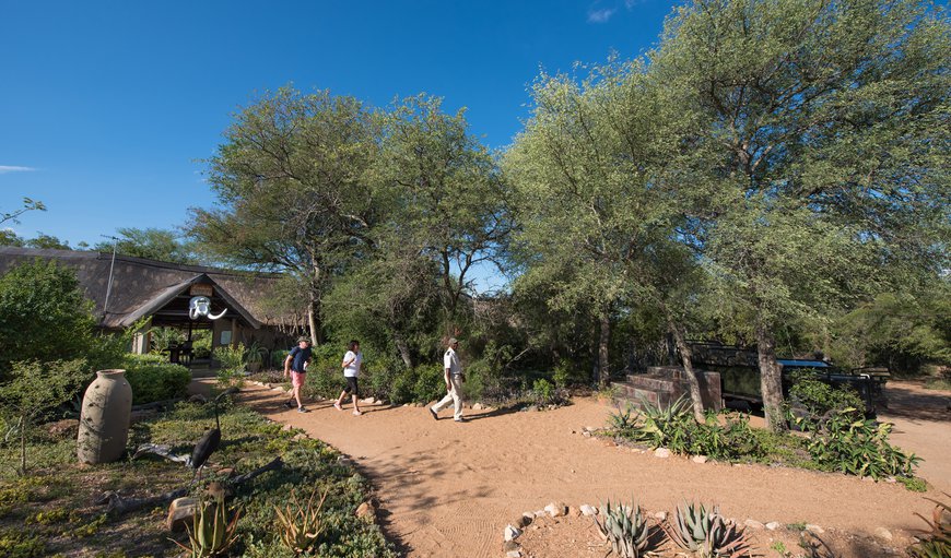 Welcome to Kambaku Safari Lodge. in Timbavati Nature Reserve, Mpumalanga, South Africa