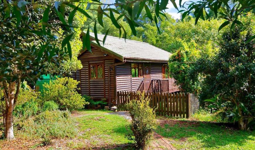 2-Sleeper Log Cabin: Facade or entrance
