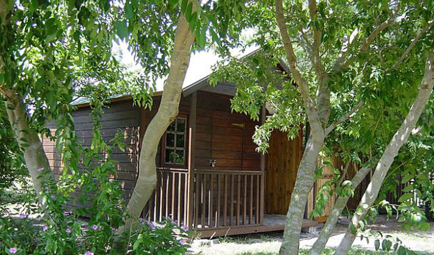 Two Sleeper Self-catering Cottage: 2 and 3 sleeper wooden cabins