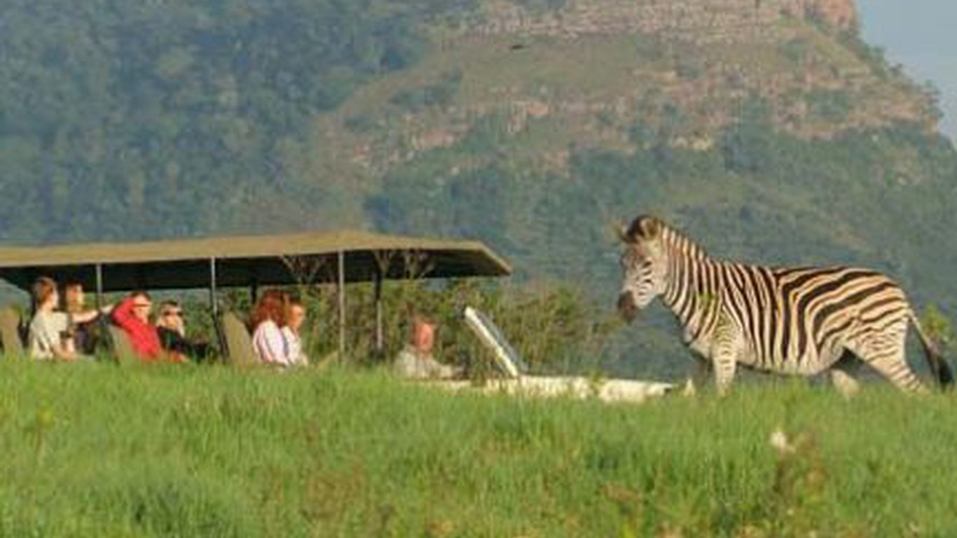 phezulu safari park location