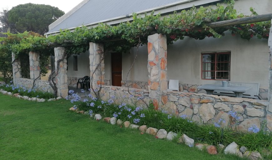 Fynbos Cottage: Cottage
