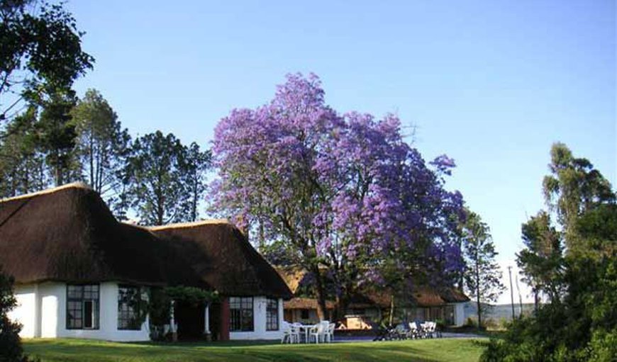 Antbear Eco Lodge in Drakensberg, KwaZulu-Natal, South Africa