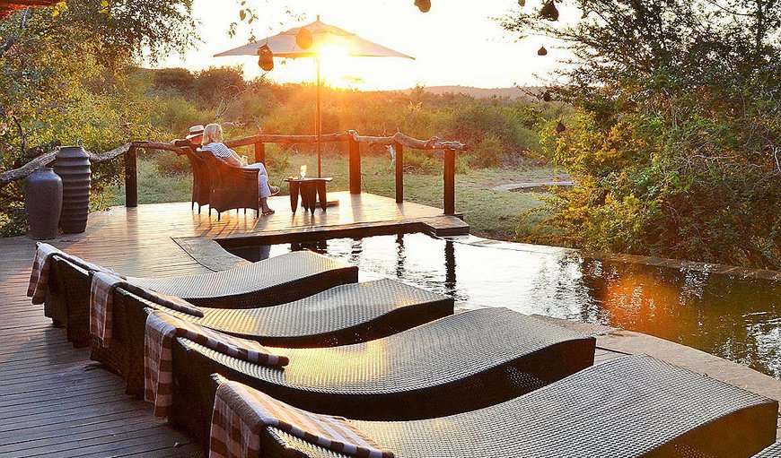 Welcome to Motswiri Private Safari Lodge in Madikwe Reserve, North West Province, South Africa