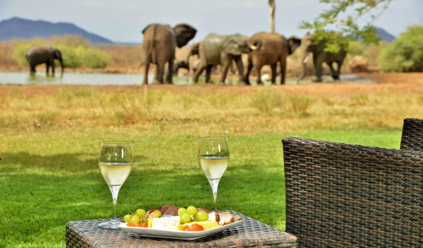 Snacks while viewing game in Madikwe Reserve, North West Province, South Africa