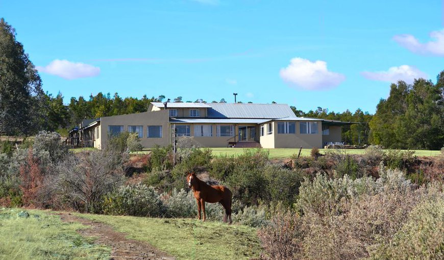 Barnhouse En-Suite Rooms: Beautiful surroundings