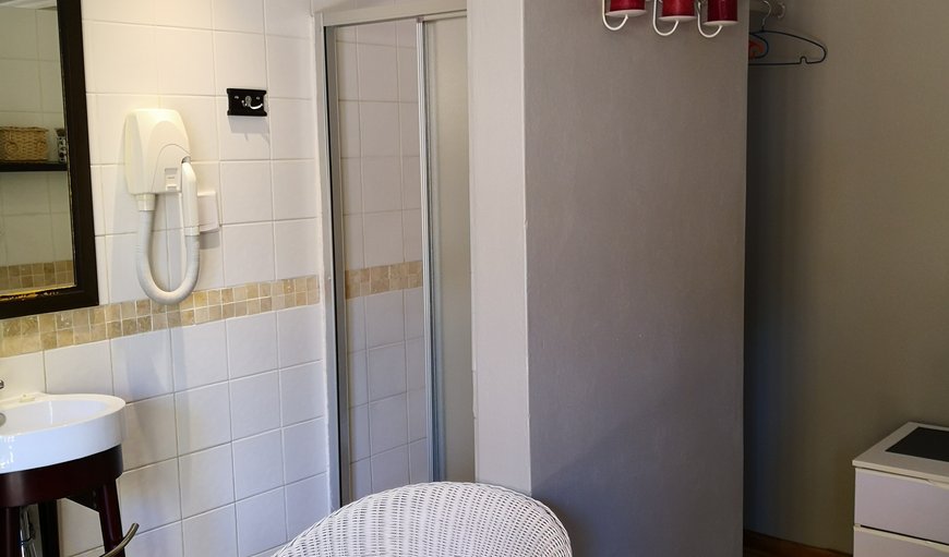 Double Room - English Room: Shower